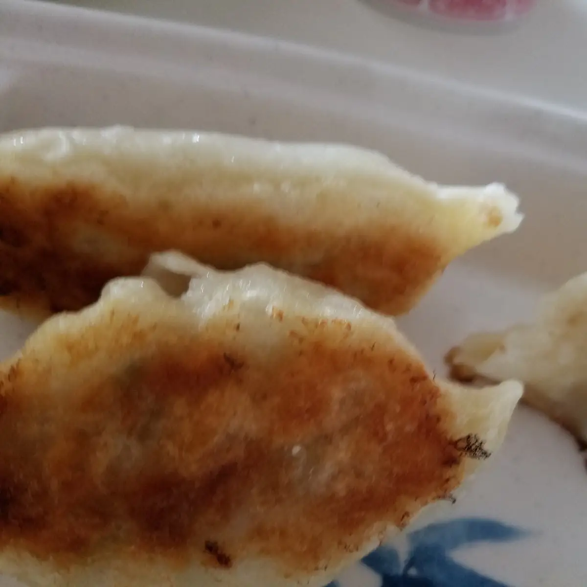 Pan-Fried Chicken Dumplings