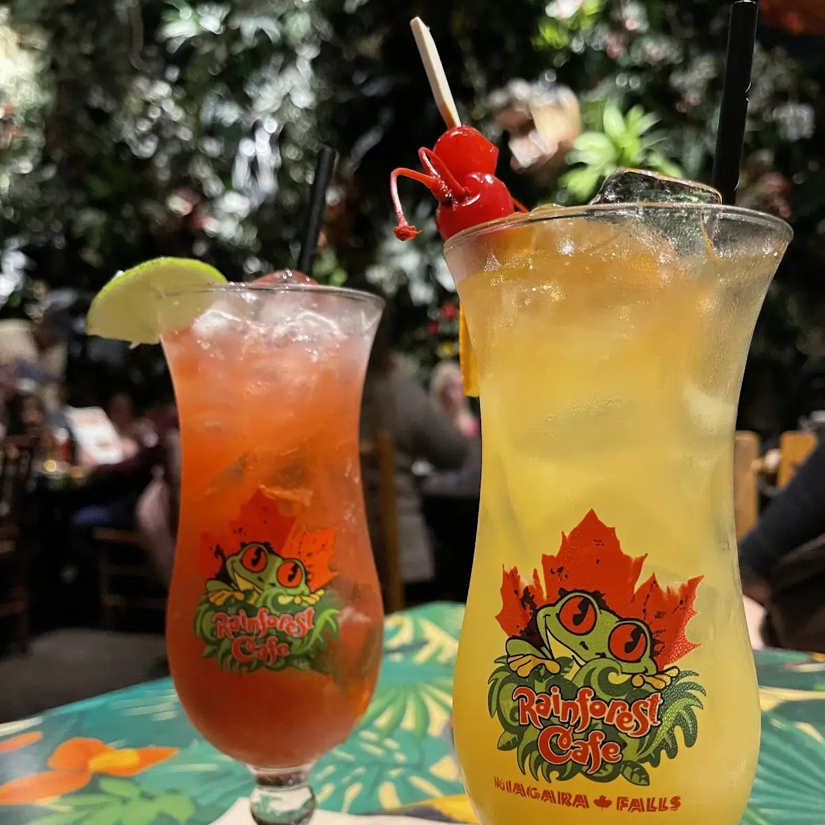 Island Daquiri, Rainforest Cafe Niagara Falls Canada