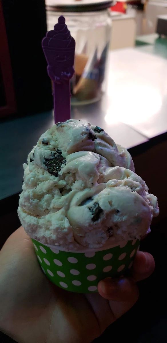 Chocolate Chip