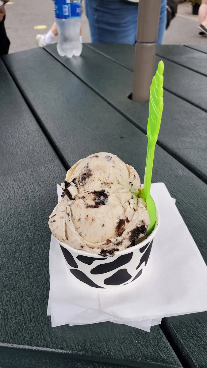 Oreo Cookie Ice Cream