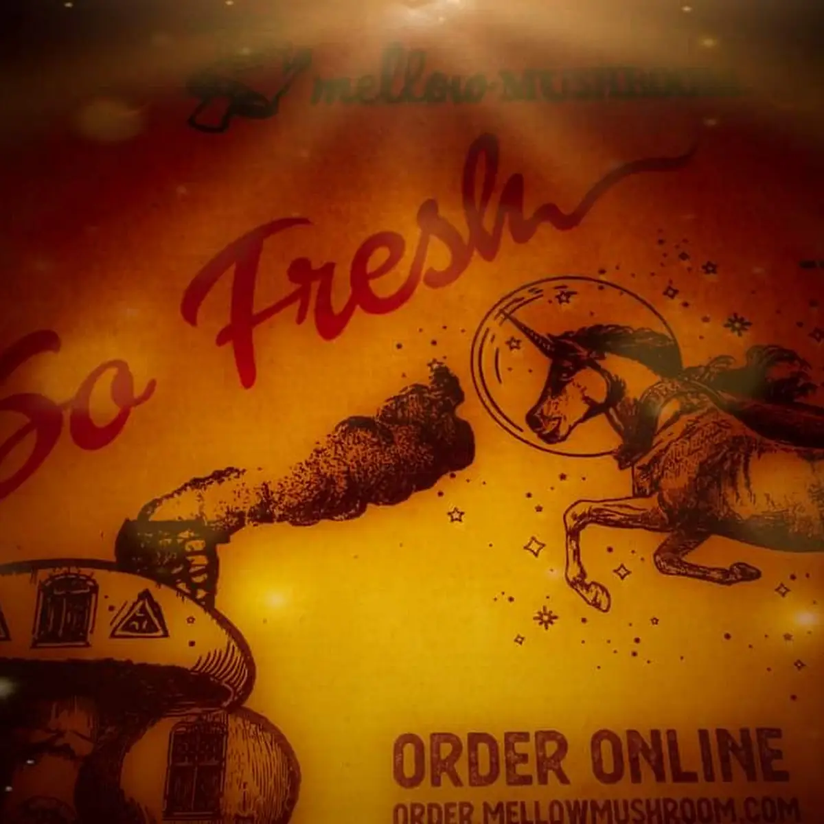 Mellow Mushroom Pizza