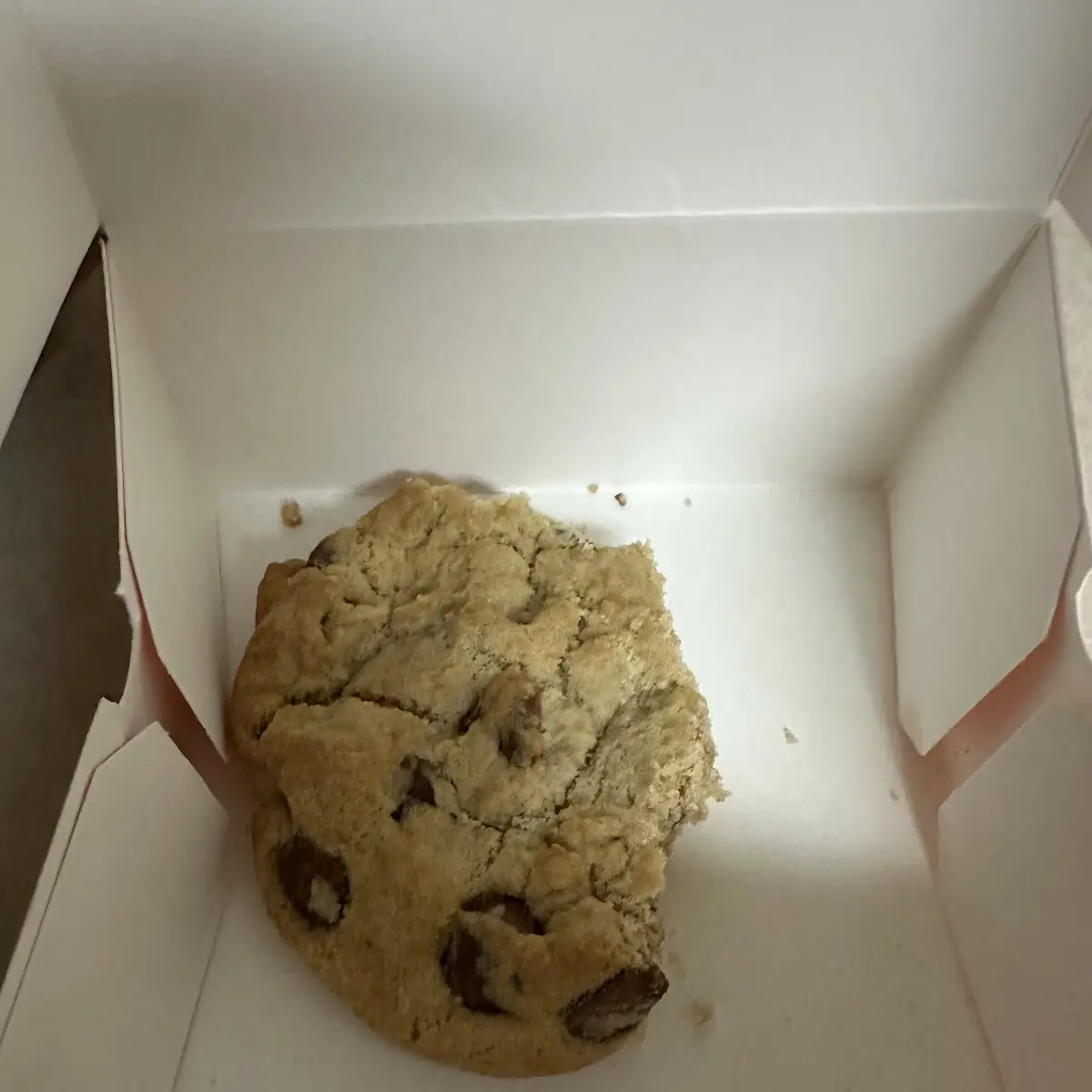 Chocolate Chip Cookie