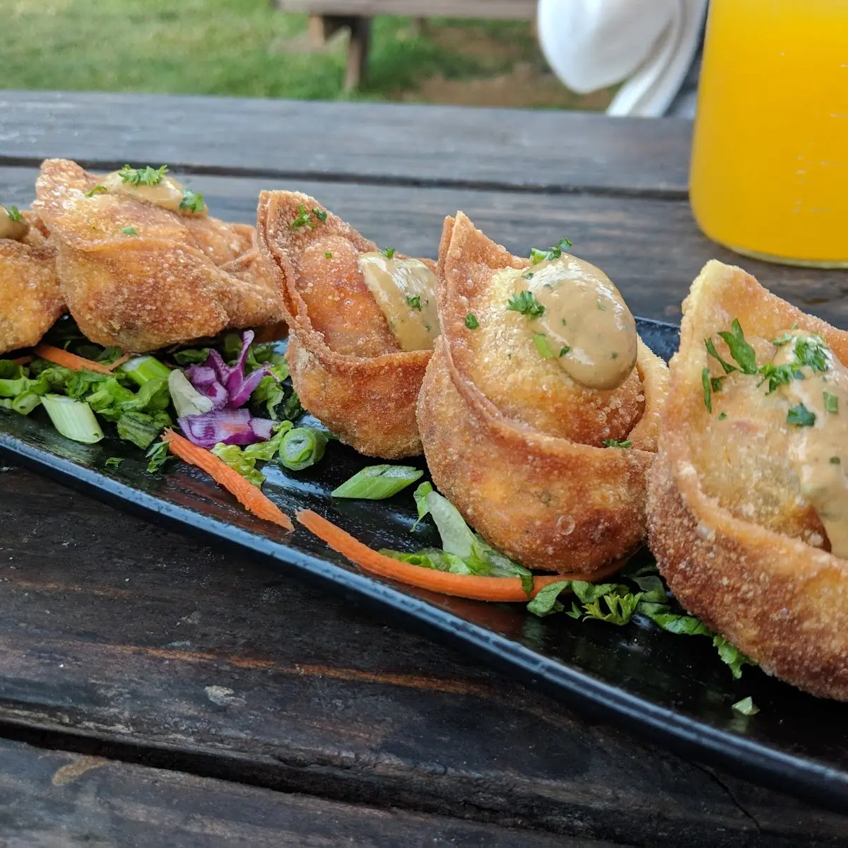 Chicken Fajita Wontons
