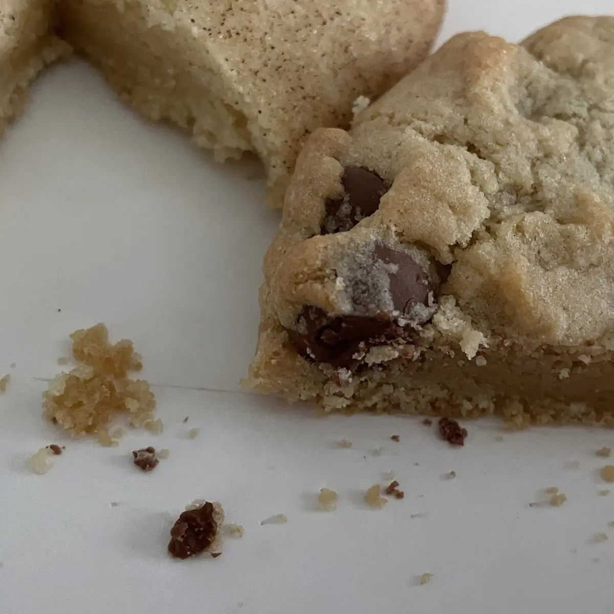Snickerdoodle and Chocolate Chip Cookies