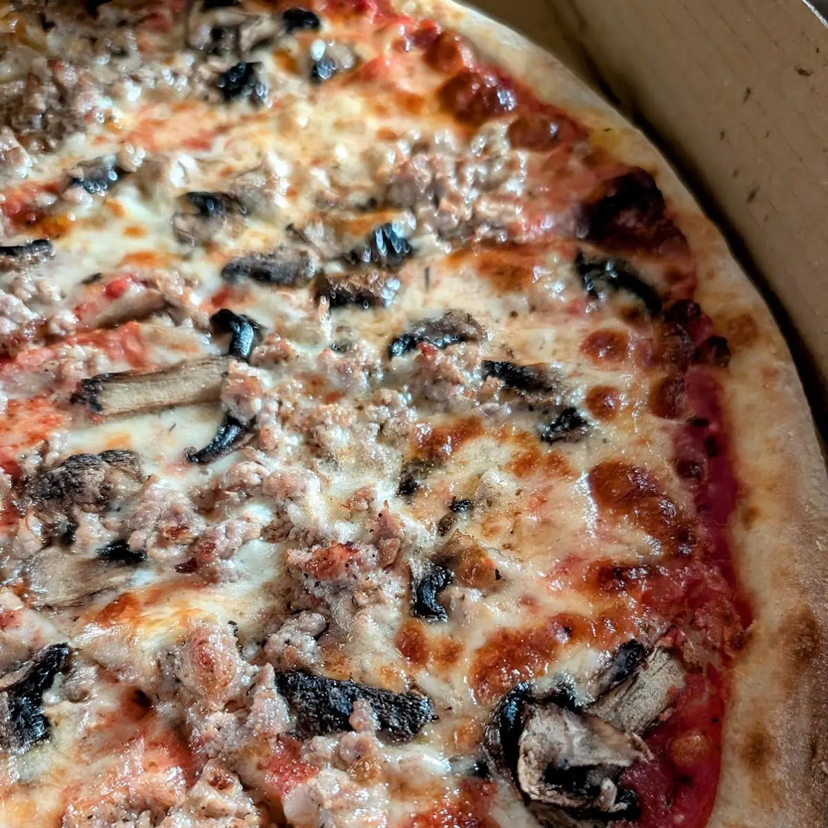 Mushroom Pizza