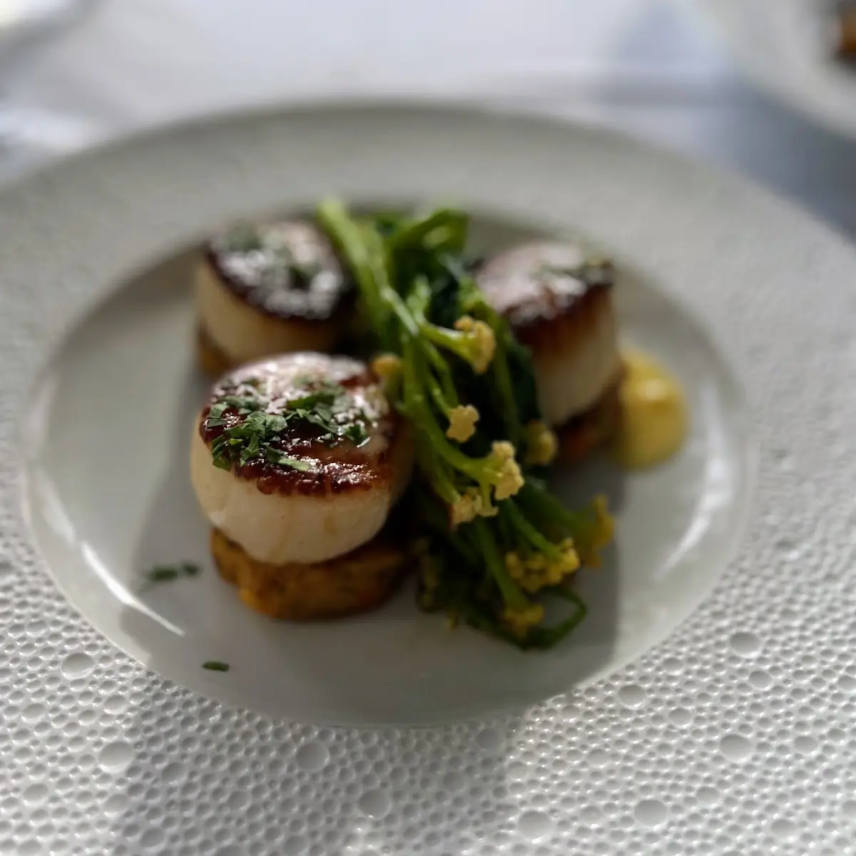 Sea Scallops