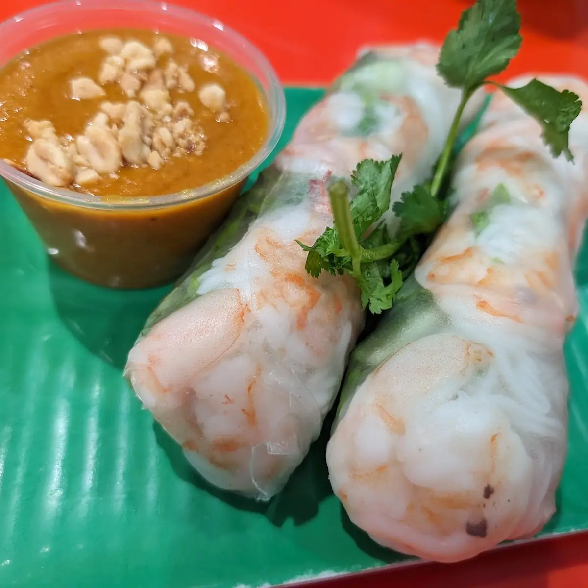 K1 Spring-Rolls