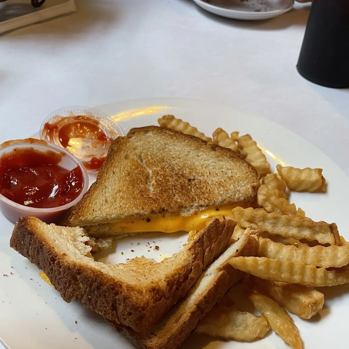 Grilled Cheese Sandwich & Fries