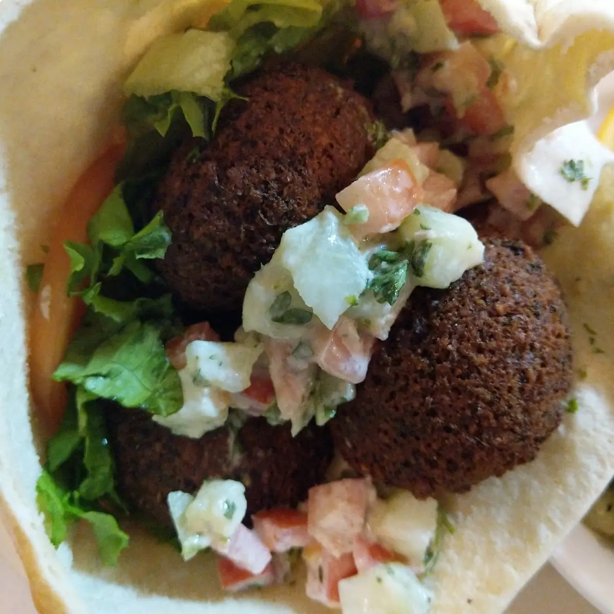 Falafel Sandwich