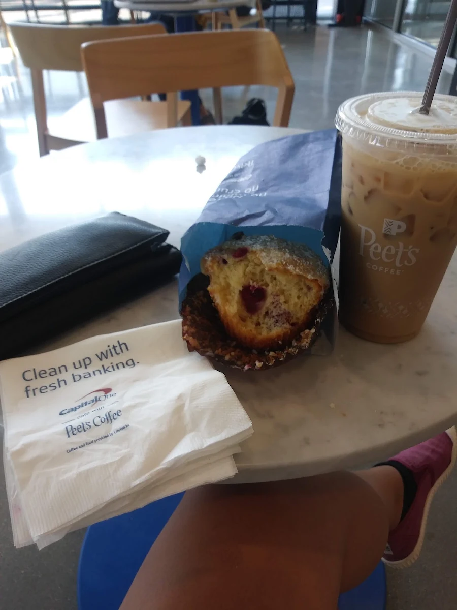 Blueberry Muffin