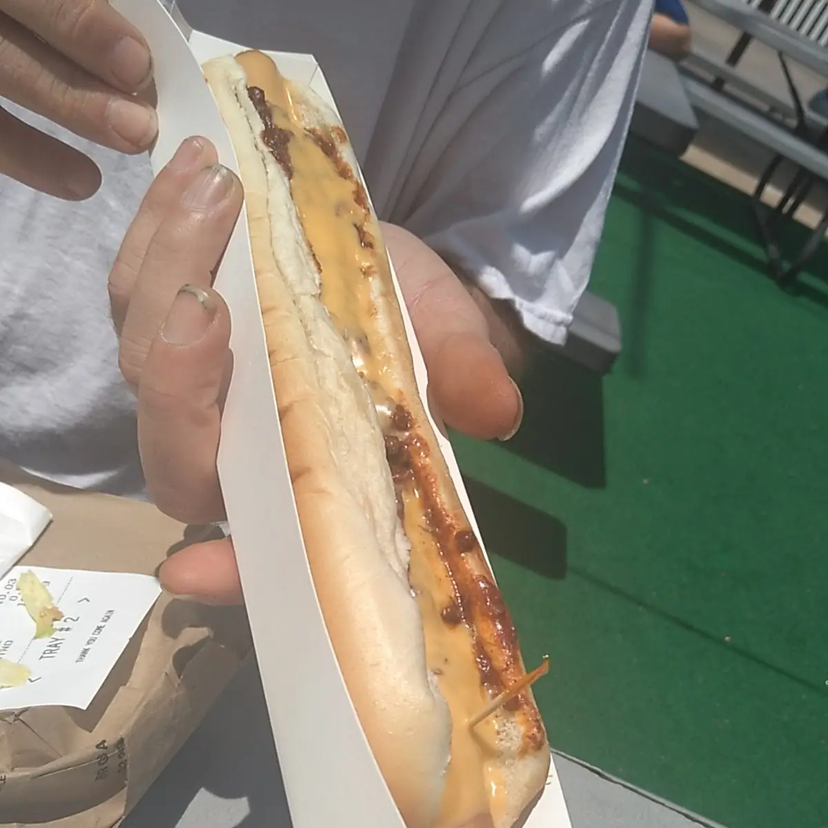 Chili Cheese Dog