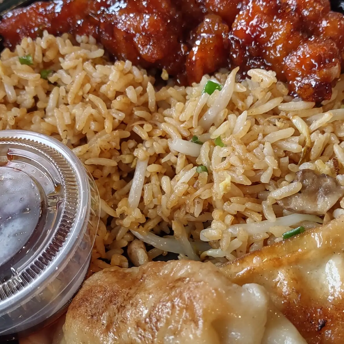 Chicken Pot Stickers Fried Rice
