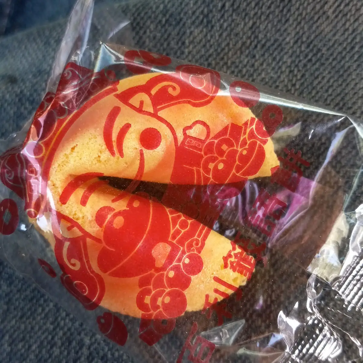 Chocolate-Dipped Fortune Cookies 4