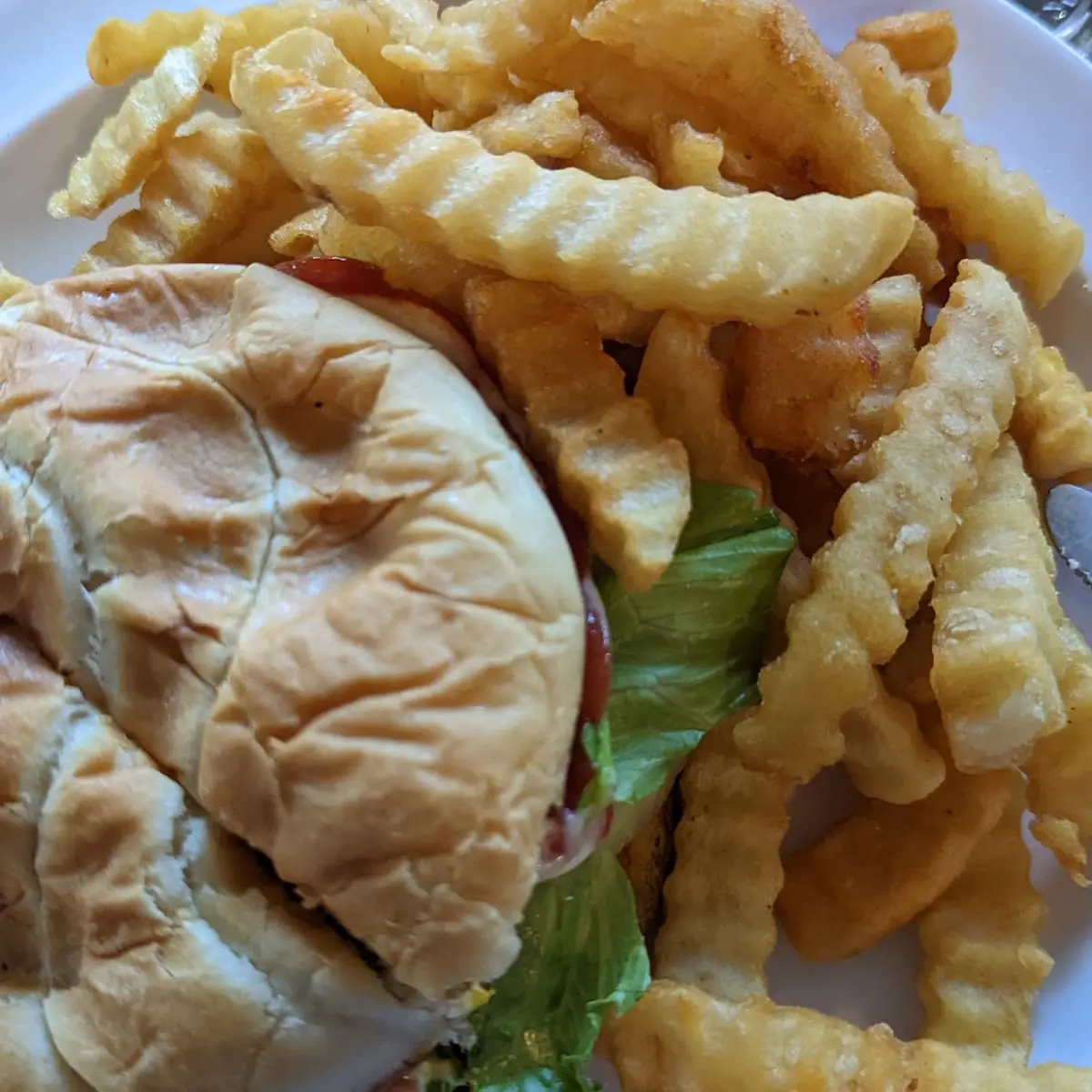 Cheese Burger