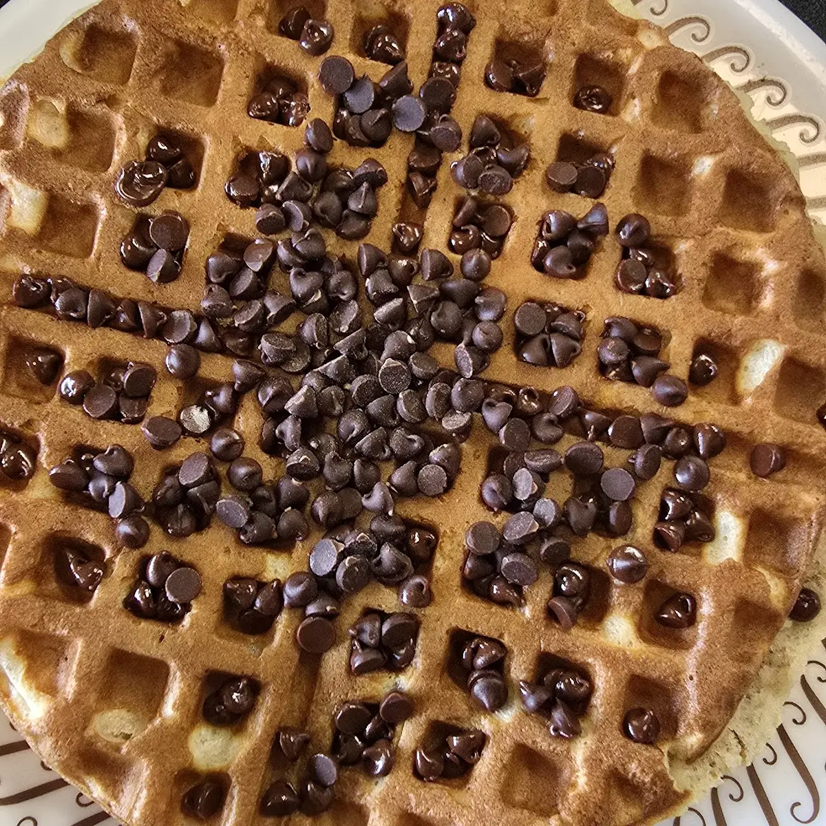 Chocolate Chip Waffle