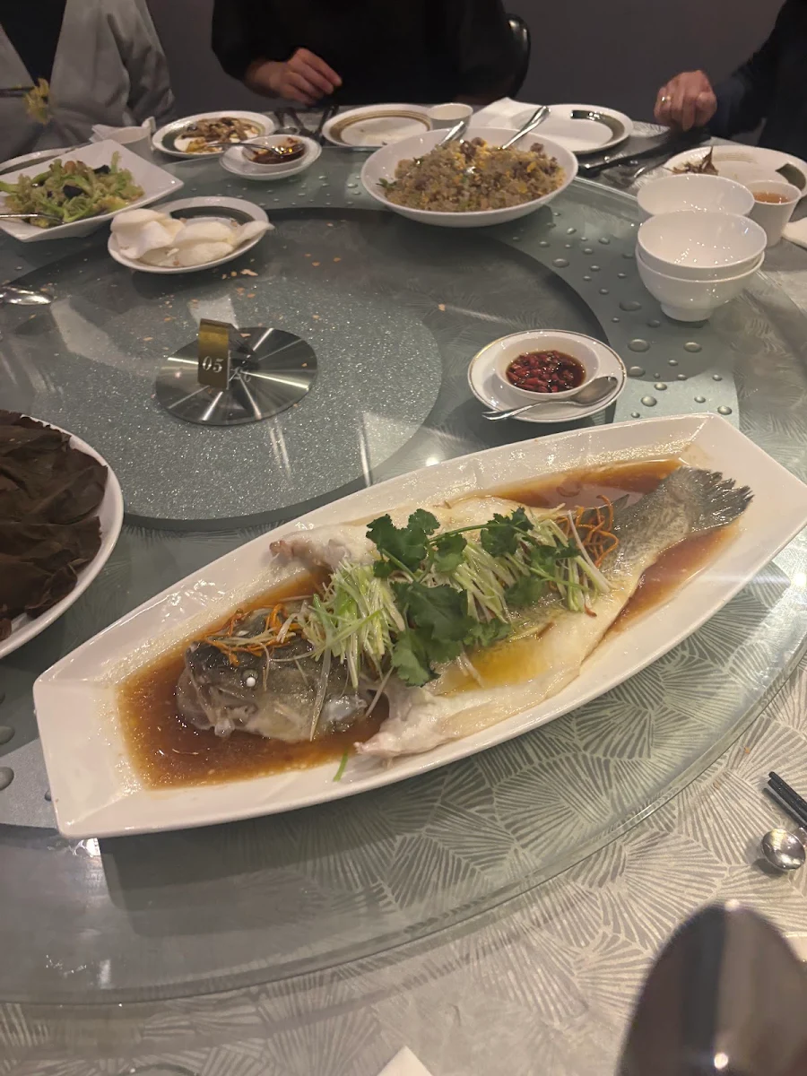 Steamed Wild Barramundi Fillet with Spring Onion & Ginger Sauce, duck duck kitchen