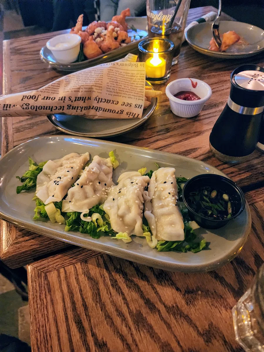Chicken Dumplings