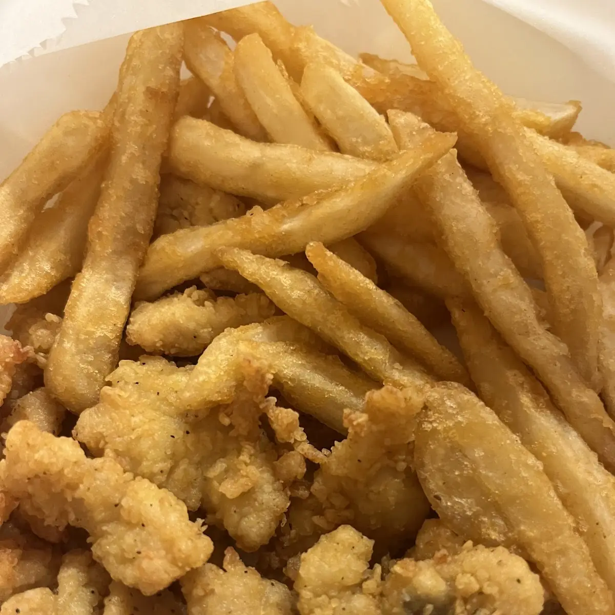 Fried Conch Fritters