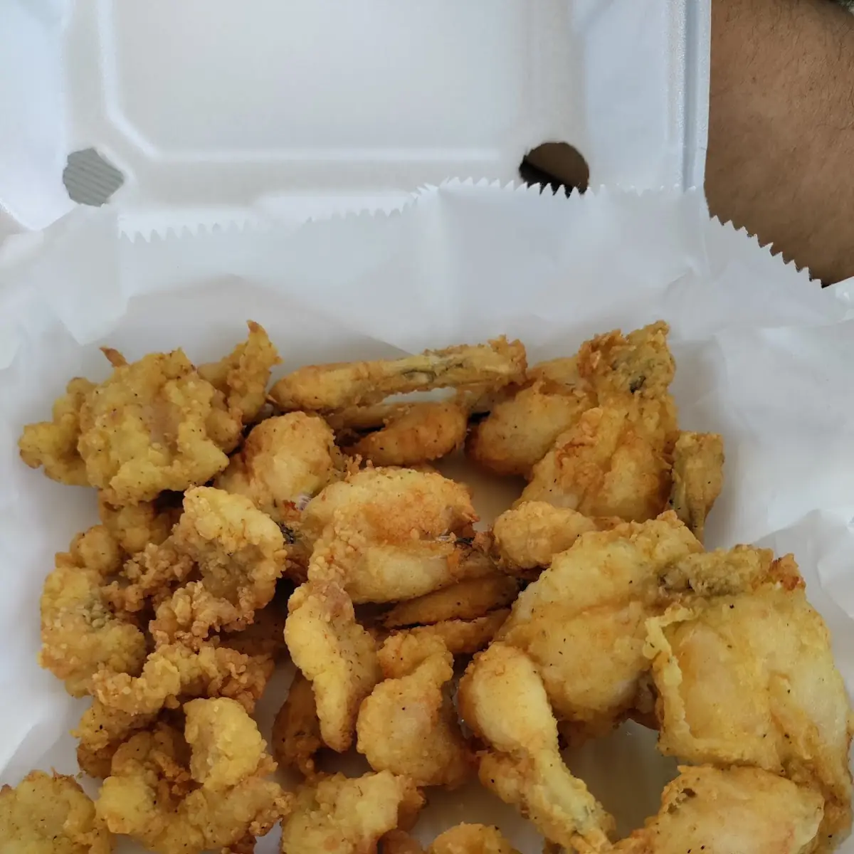 Gator Bites and Frog Legs