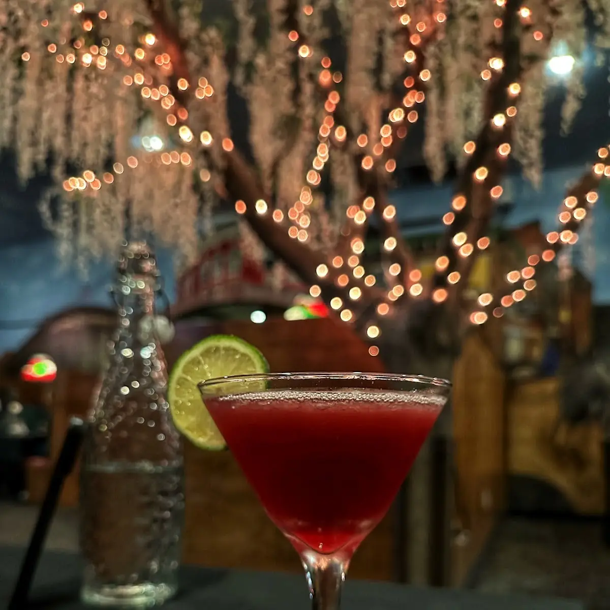 Pomegranate Martini