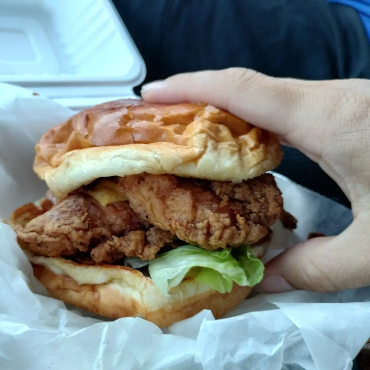Spicy Chicken Sandwich