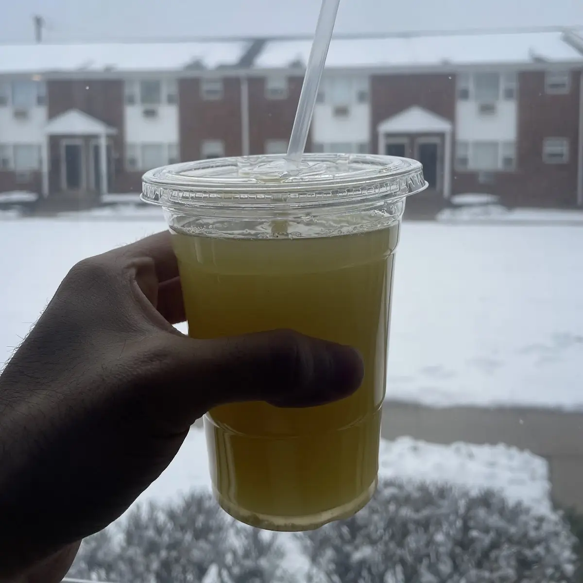 Pineapple Juice