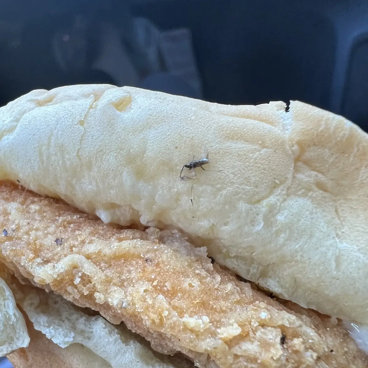 Fish Sandwich
