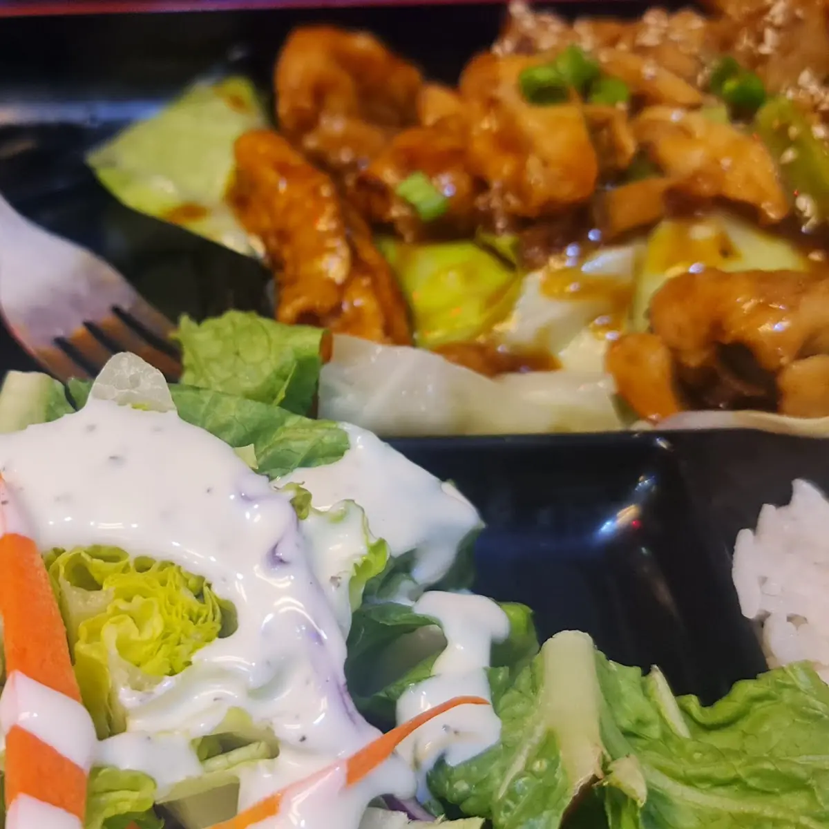 Chicken Teriyaki Bento