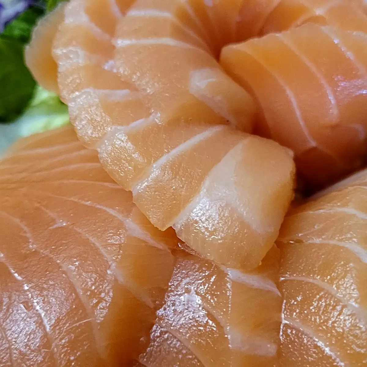 Salmon Sashimi