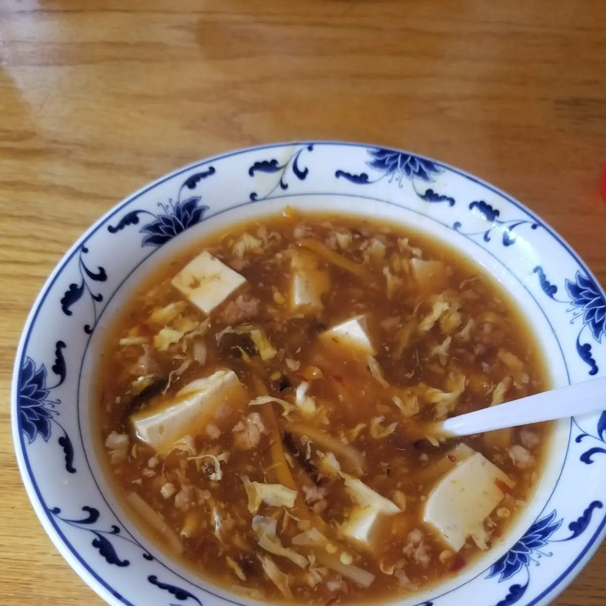 Hot and Sour Soup