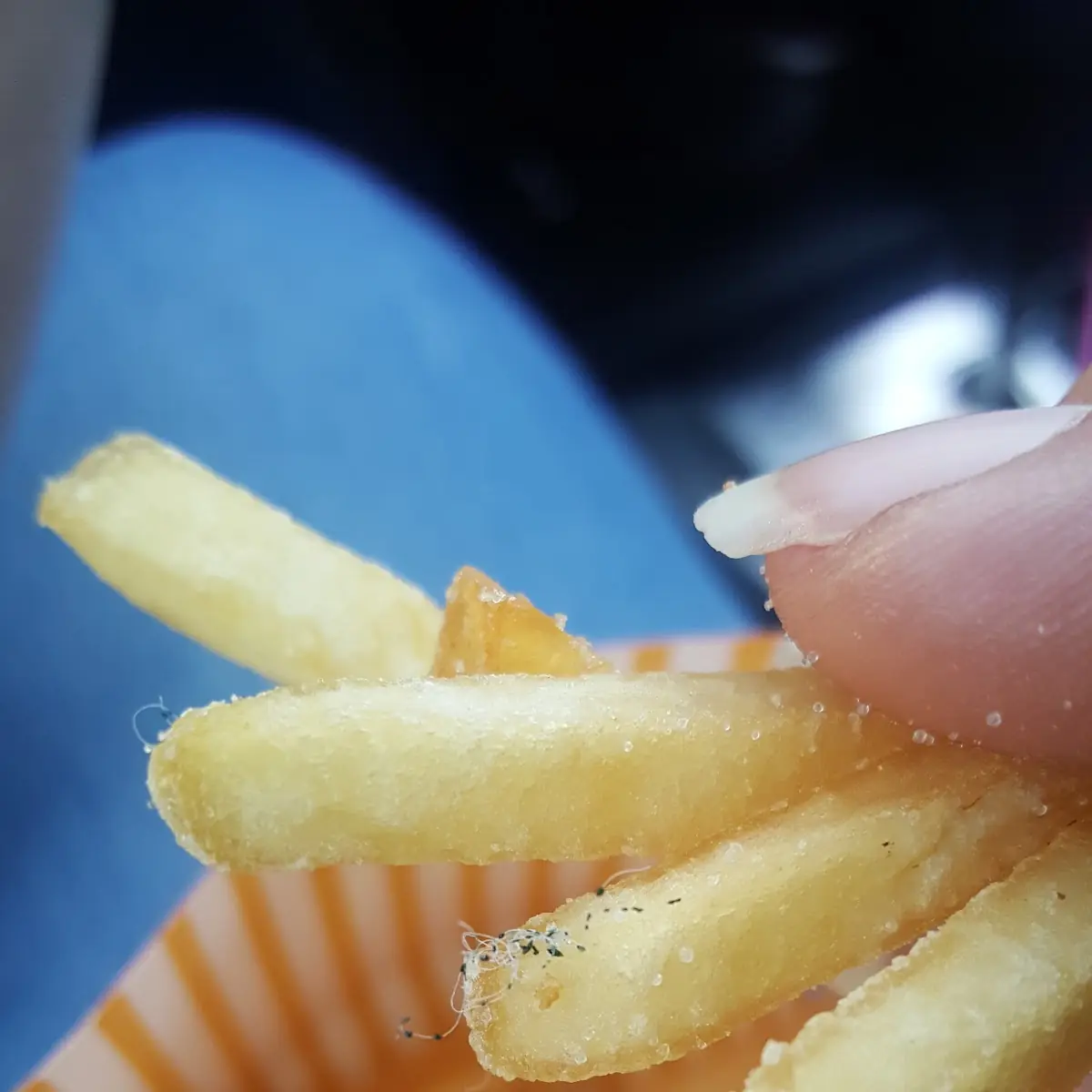 World Famous Fries