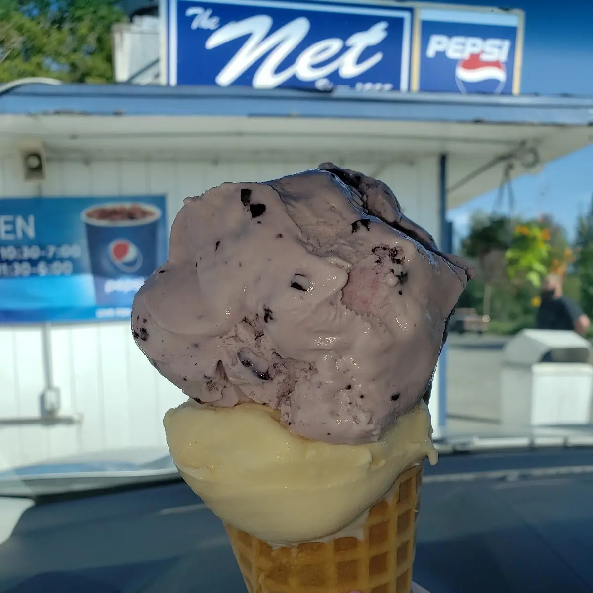 Huckleberry Vanilla Ice Cream