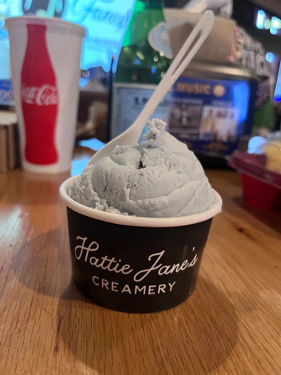 Vegan Chocolate Chip