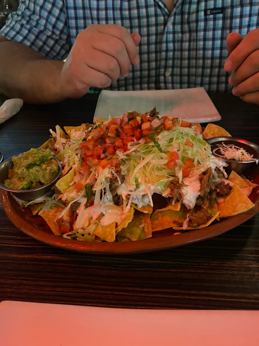 Double Cheese Nachos