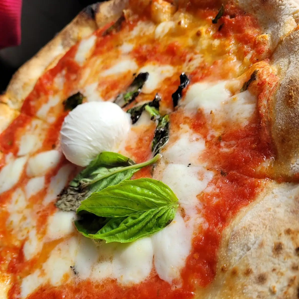 Pizza Margherita