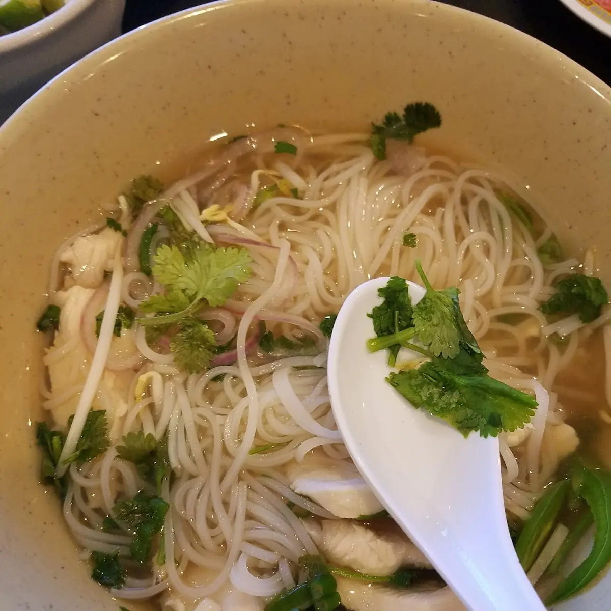 Noodle Soup
