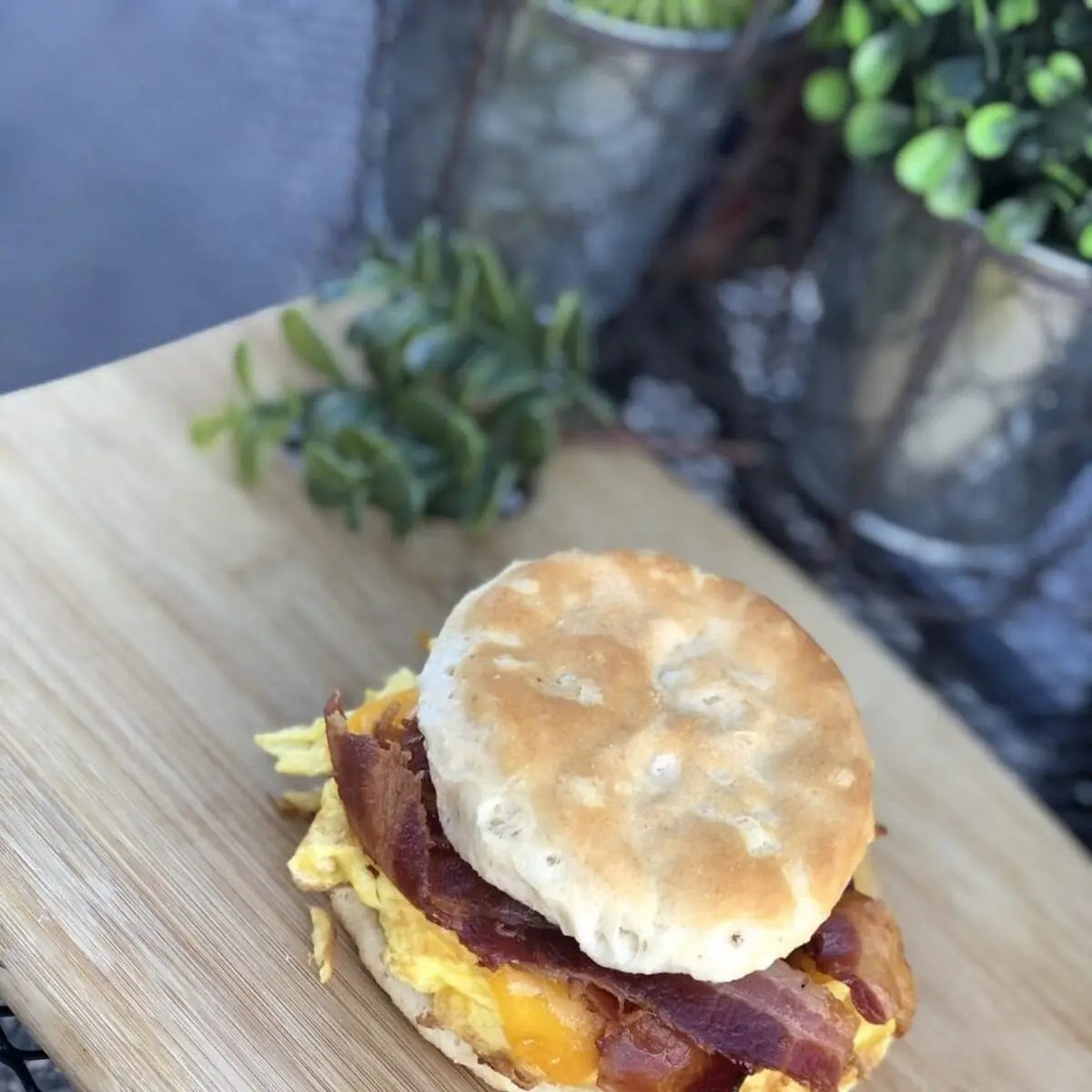 Bacon Egg and Cheese Sandwich