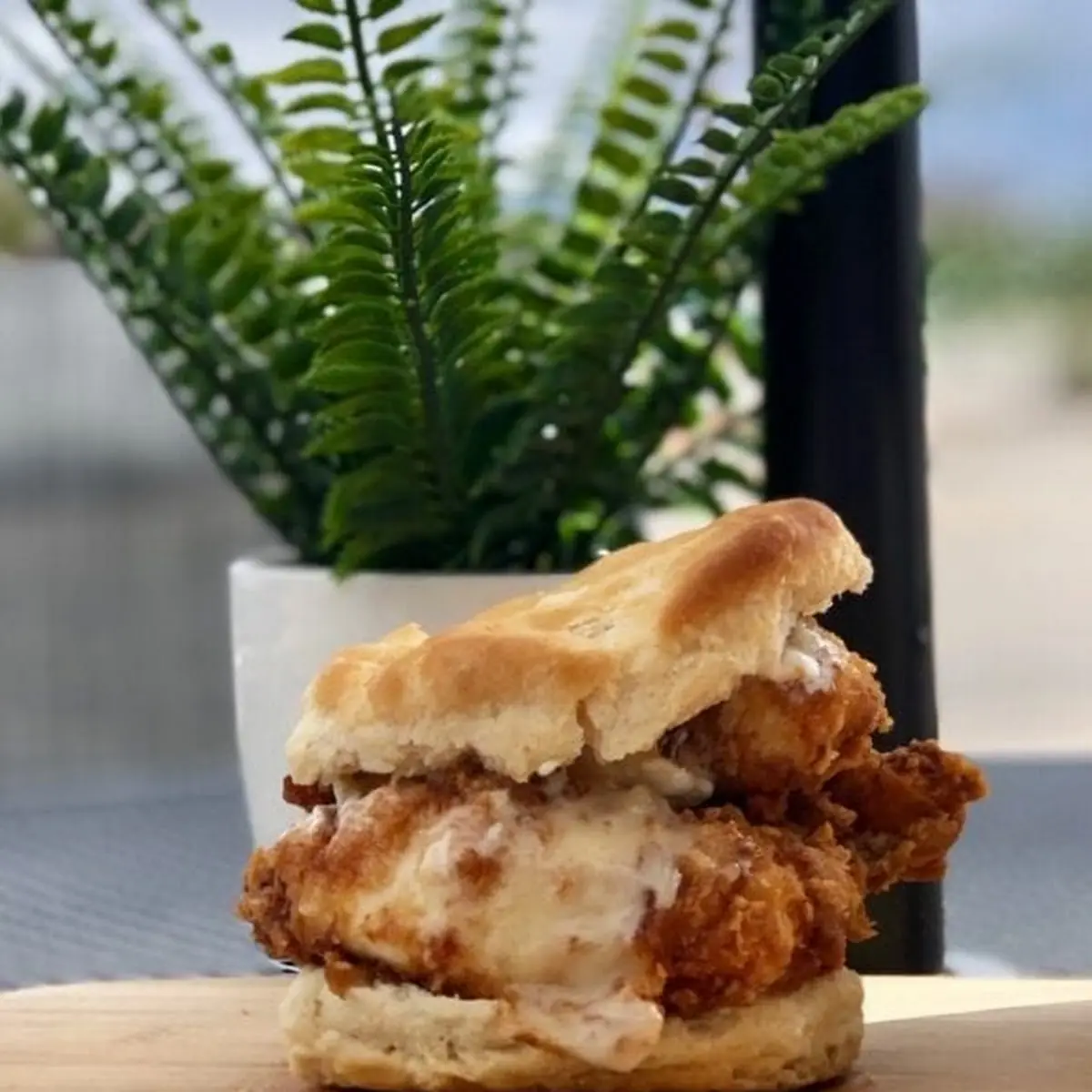 Chicken & Biscuit