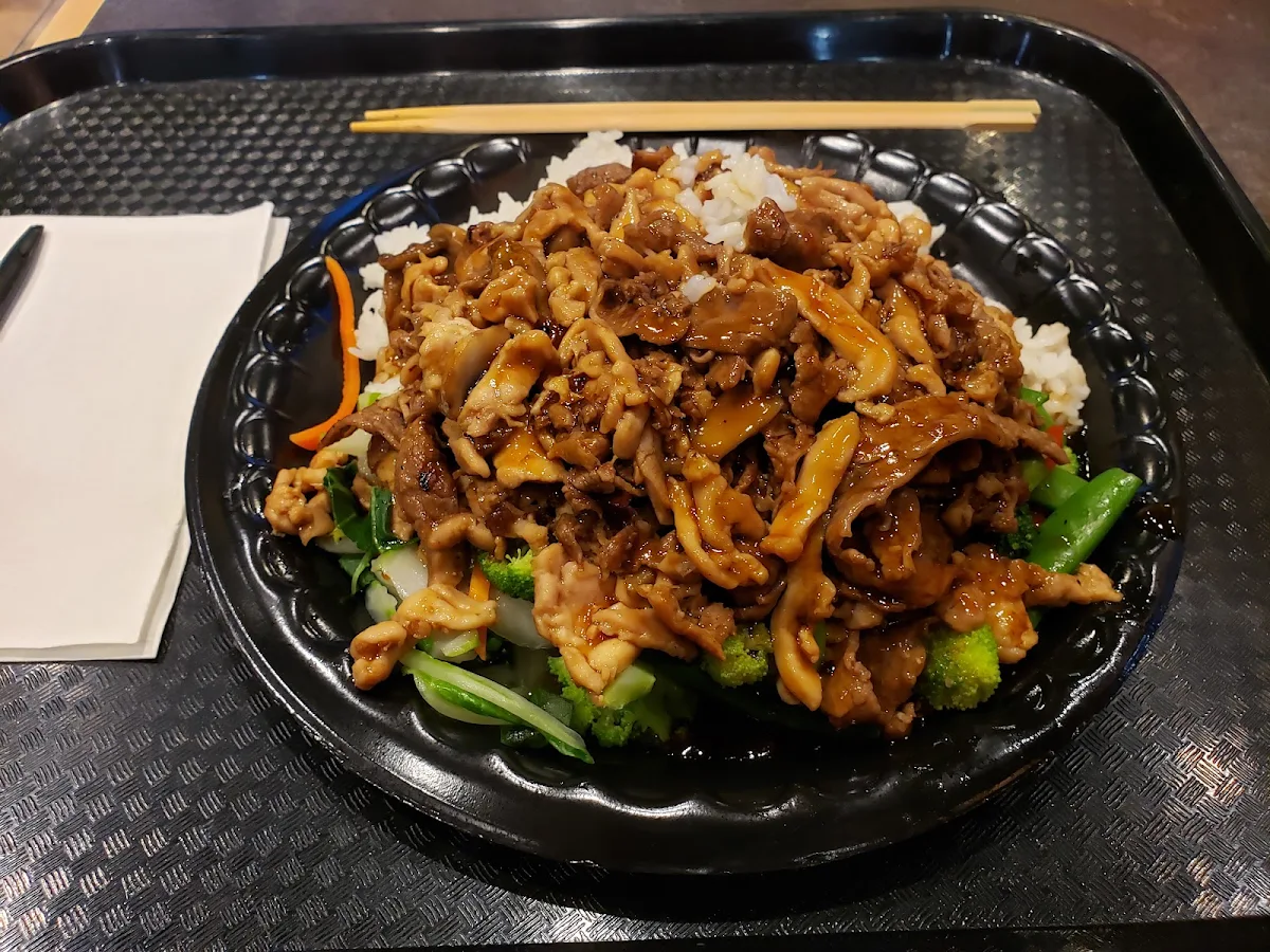 Beef and Chicken Teriyaki