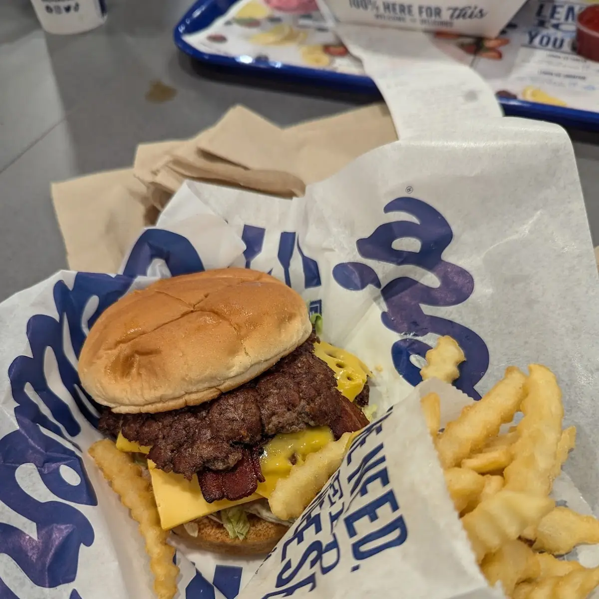 Cheese Burger with Fries