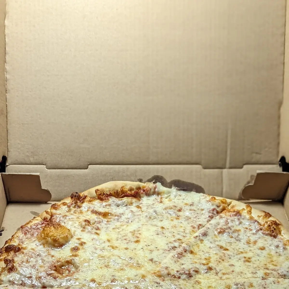Large Extra Cheese Pizza
