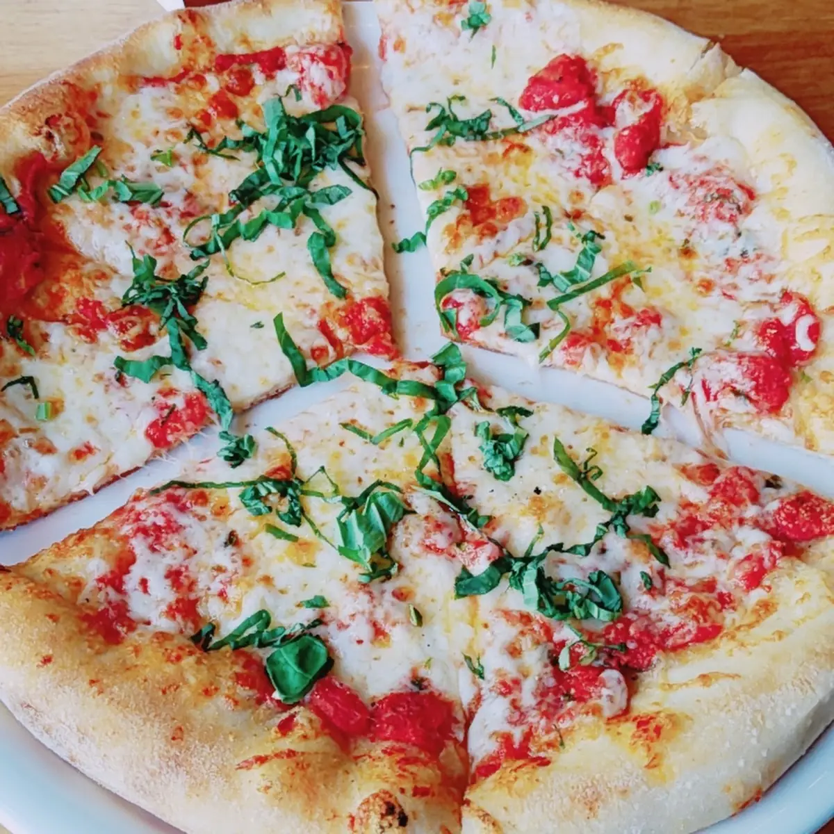 Five Cheese Fresh Tomato Pizza