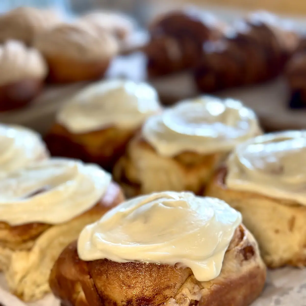 Cinnamon Roll