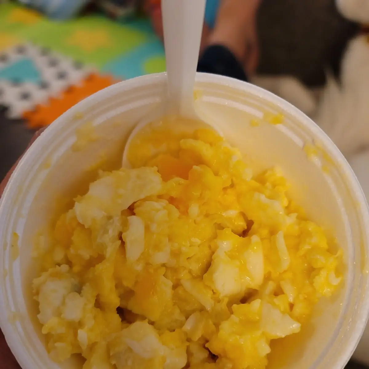 Scrambled Eggs