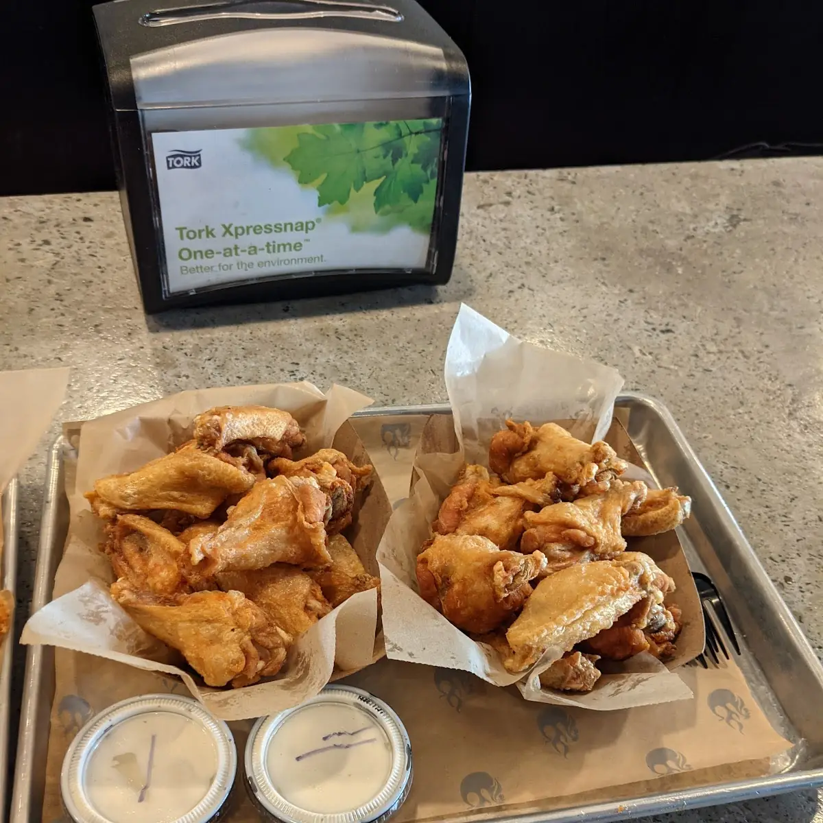 Plain Wings