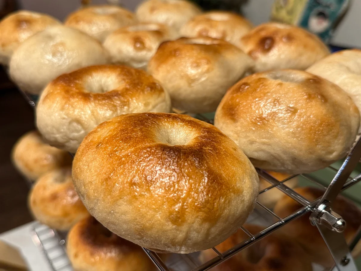 Plain Bagels