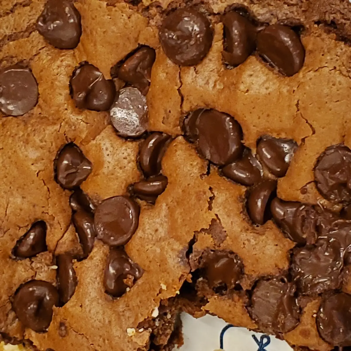 Chocolate Brownie