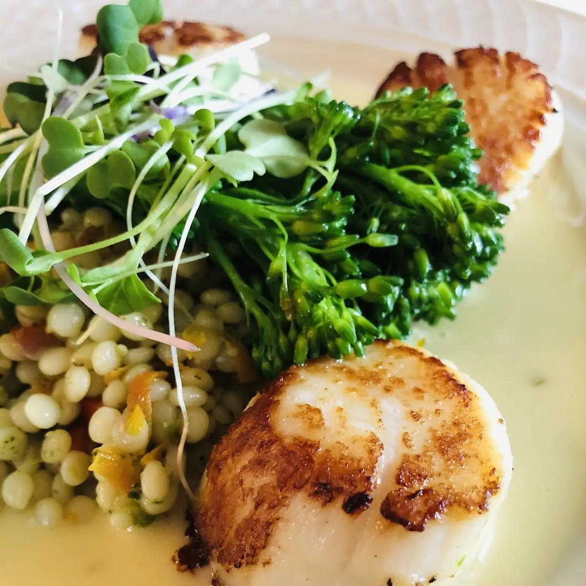 Seared Scallops