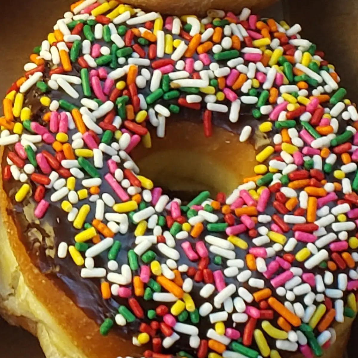 Chocolate Sprinkle Donut
