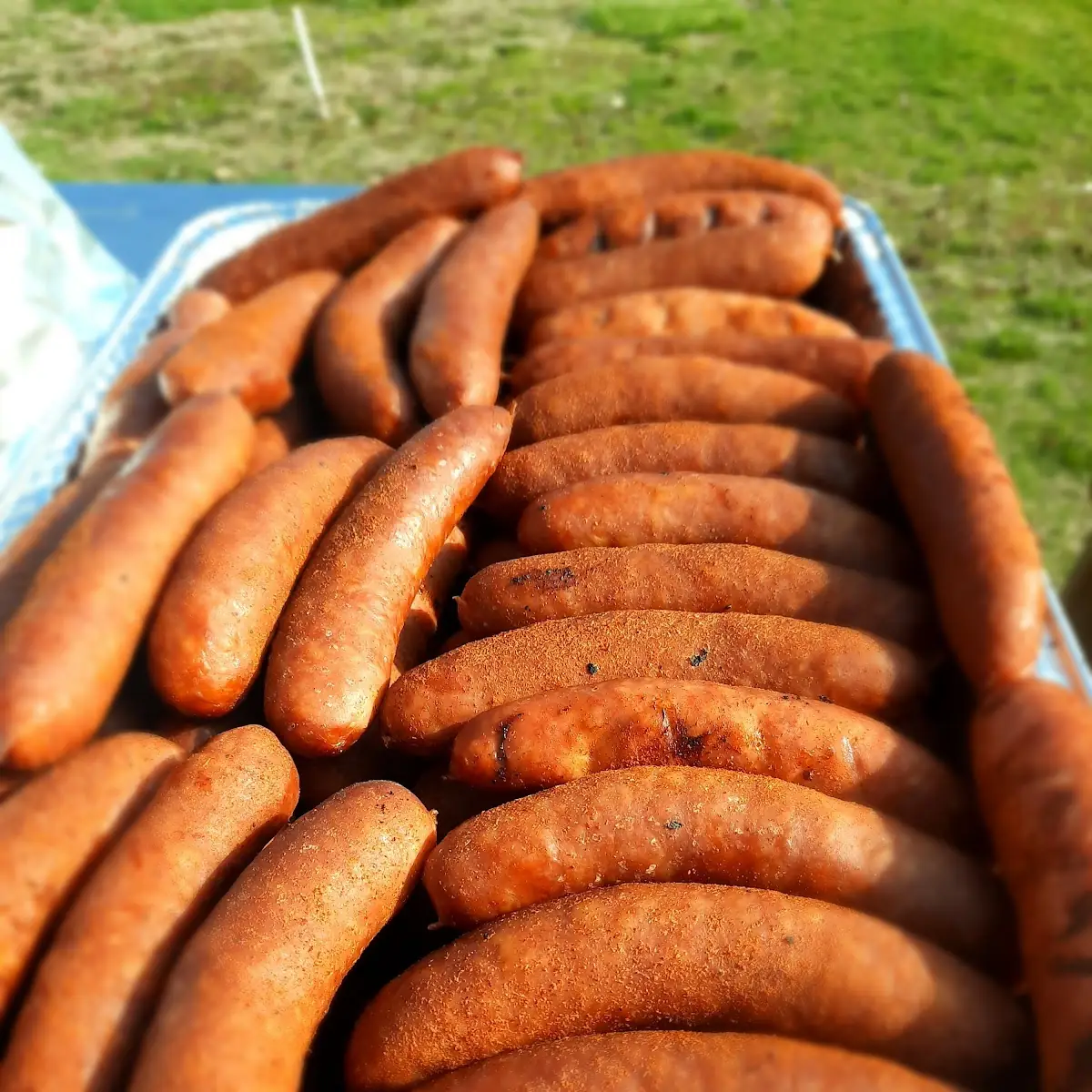 Bratwurst
